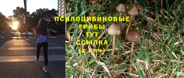 МДПВ Алексеевка
