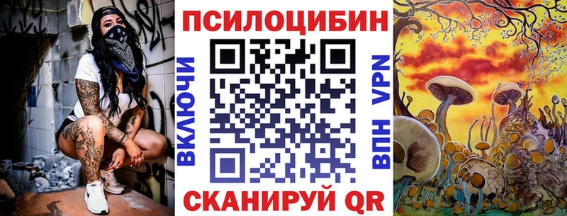 как найти наркотики Хотьково Псилоцибиновые грибы мицелий