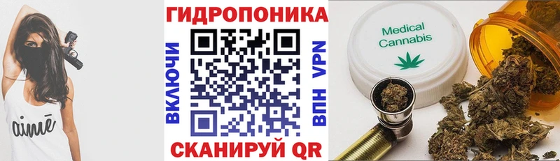 Шишки марихуана семена  Хотьково 